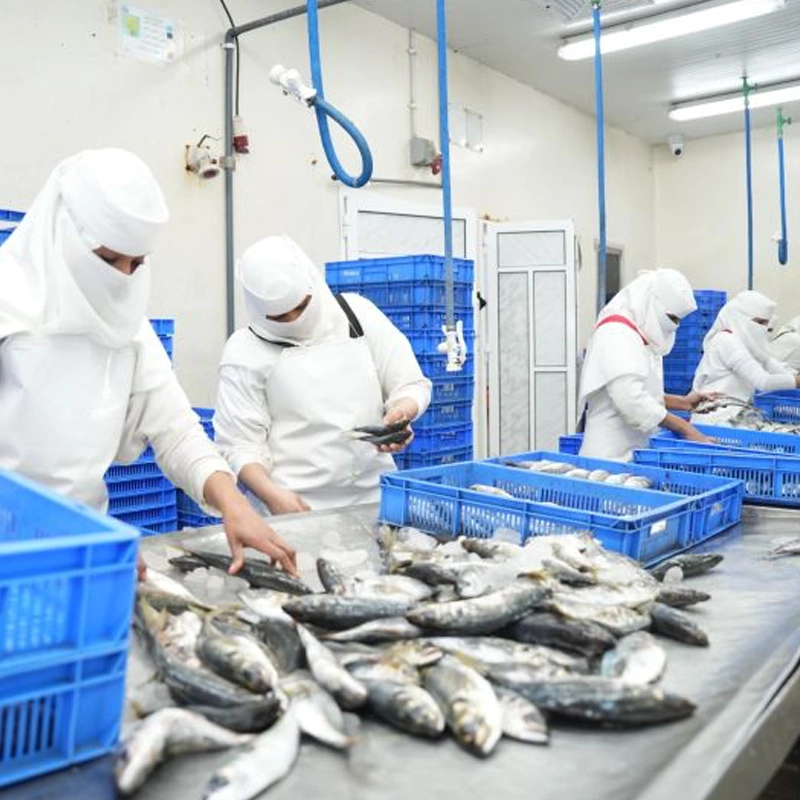 Imagen de trabajador en ámbito alimentario para página de destino